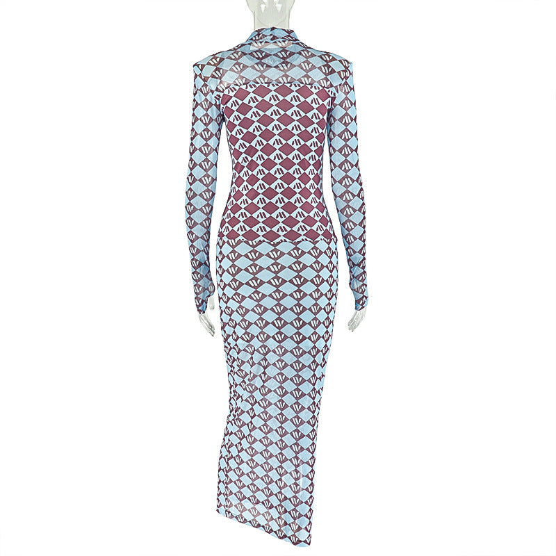 High neck long sleeve mesh print maxi dress | Festival Outfits Women