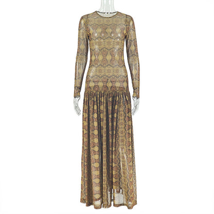 Mesh long sleeve crewneck print maxi dress  | Festival Outfits Women
