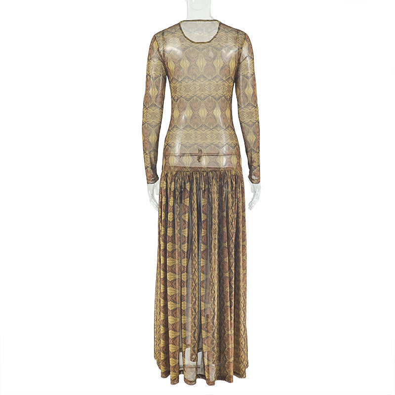 Mesh long sleeve crewneck print maxi dress  | Festival Outfits Women