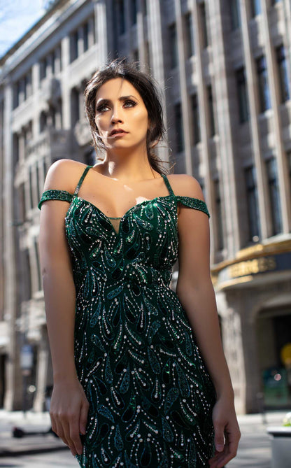 Chic and Holland HF1636 Dress