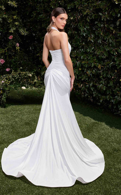 LaDivine CD796W Dress
