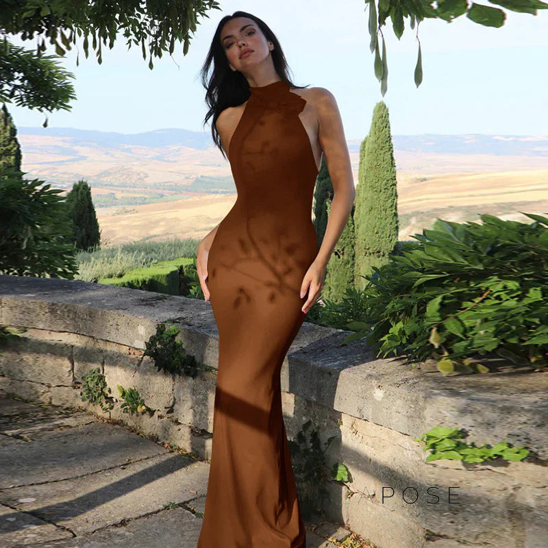 Iliana Halter Backless Maxi Dress